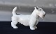 Sealyham Terrier2071Bing & Grøndahl