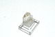 Gold Ring with Zones 14 carat goldSize 57