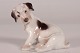 Bing & GrøndahlDahl JensenSealyham hundehvalpNr. 2027