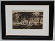 Etching: Skovgaard 1899 Boy with cow on his way through the forrest  25.5 x 33.7 cm in wooden frame