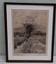 Radering Peder Mønsted 1900 Landskab Prøvetryk nr 2   53 x 42.5 cm inklusiv træramme