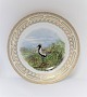 Royal Copenhagen. Fauna Danica. Dinner plate. Model # 240A - 3549. Diameter 25 cm. (1 quality). Charadrius apricarius