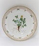 Royal Copenhagen, Flora Danica. Middags tallerken. Design #3549. Diameter 25 cm. (1 sortering). Potentilla emarginata Pursh