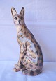 Dahl Jensen1014Serval