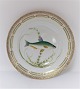 Royal Copenhagen. Fauna Danica. Fisketallerken. Middags tallerken. Model # 19 - 3549. Diameter 25 cm. (1 sortering). Abramis vimba