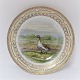 Royal Copenhagen. Fauna Danica. Jagtstel.  Middags tallerken. Model # 240A - 3549. Diameter 25 cm. (1 sortering). Anser albifrons