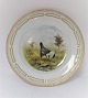 Royal Copenhagen. Fauna Danica. Jagtstel.  Middags tallerken. Model # 240 - 3549. Diameter 25 cm. (1 sortering). Tetrao urogallus