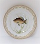 Royal Copenhagen. Fauna Danica. Fisketallerken. Middags tallerken. Model # 19 - 3549. Diameter 25 cm. (1 sortering). Cyprinus carassius