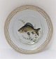 Royal Copenhagen. Fauna Danica. Fisketallerken. Middags tallerken. Model # 19 - 3549. Diameter 25 cm. (1 sortering). Cyprinus carpio
