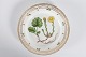Royal CopenhagenFlora DanicaFrokosttallerkenm/takket kant3550Ø 22,5 cm