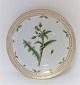 Royal Copenhagen, Flora Danica. Frokost tallerken. Design #3550. Diameter 22 cm. (1 sortering). Sonchus asper Vill