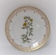 Royal Copenhagen, Flora Danica. Frokost tallerken. Design #3550. Diameter 22 cm. (1 sortering). Medicago falcata L