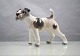 Dahl Jensen1009Foxterrier