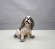 DJ1133Prince Charles Spaniel