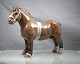 B&G2234belgisk hingst