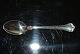 Anne marie Silver, Coffee box / SpoonFrigast
