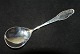 Marmelade spoon Frijsenborg SilverwareLength 14 cm.