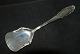 Serving spade Frijsenborg SilverwareLength 17.5 cm.