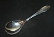 Jam spoon Træske  (wooden spoon) SilverCohr SilverLength 15 cm.