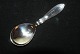 Sugar seaweed / Chocolate seaweed #SilverLength approx. 10 cm