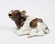 Kgl. porcelænsfigur, liggende kalv, nr.: 1072.5000m2 udstilling.