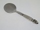 Georg Jensen AcornServer