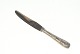 Snirkel Silver Dinner knifeFrom Frigast