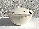 AluminiaAnne SofieSuppeterrin*300kr