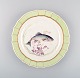 latest
new item latest
new item