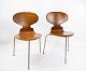 Et par Myre stole, model 3101, i teak designet af Arne Jacobsen i 1952 og fremstillet af Fritz Hansen.5000m2 udstilling.