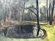 Mogens SkyumForest area with lake900 kr