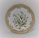 Royal Copenhagen. Flora Danica. Frokost tallerken (3554). Produceret 1894 - 1900. Diameter 22 cm. ( 1 sortering ) Myosotis caespitosa Schultz