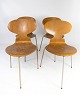 Sæt af fire Myre stole, model 3101, i lyst trædesignet af Arne Jacobsen i 1952 og fremstillet af Fritz Hansen i 1950erne.5000m2 udstilling.