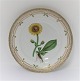 Royal Copenhagen Flora Danica. Dinner plate. Design # 3549. Diameter 25 cm. (1 quality). Arnica montana L