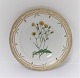 Royal Copenhagen, Flora Danica. Middags tallerken. Design #3549. Diameter 25 cm. (1 sortering). Crepis tectorum L