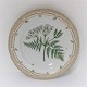 Royal Copenhagen, Flora Danica. Middags tallerken. Design #3549. Diameter 25 cm. (1 sortering). Myrrhis odorata Scop