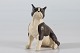 JIE KeramikSverigeBoston terrier