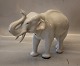 1373-0 RC Elephant Axel Locher 1912 24 x 32 cm White version Royal Copenhagen 