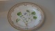 Royal Copenhagen Flora Danica Dinner PlateDecoration number 20- # 3549Motif: Viola canina Horn.