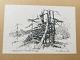 emne nr: 465286