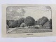 emne nr:
465394