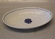 1020 Oval bowl 23.5 x 15.6 cm B&G "The OAK" - Blue Oaktree on seashell tableware Hotel