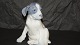 Large Royal Copenhagen Dog Figure, Pointer PuppyDek. # 051 or # 259