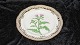 Breakfast plate Breakthrough with edge #Flora danicaRoyal CopenhagenMotif: Carduus Crispus LDeck No. 20/3554