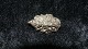 Elegant Brooch in silverstamped FSM 925SMeasures 3 cm