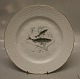 025 Dinner plate 24 cm with fish no. 1. Herring SILD  (325) Hostrup B&G  Hostrup Porcelain White with gold rim