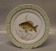 919-1710 Fish: Crucian carp "Cyprinus Carassius" 25.5 cm Royal Copenhagen Fish Plate with Green Border