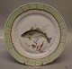 919-1710 Hvilling "Gadus merlangus" fisketallerken m  svejfet med grøn bort 25.5 cm Royal Copenhagen Svejfet Fisketallerken