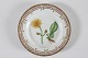 Royal CopenhagenFlora DanicaTallerken nr. 624Ø 25,5 cm m/takket kant