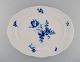 item no:
479313 item no:
479313